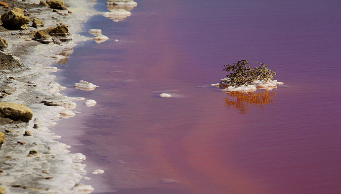 Красное озеро во Франции (фото 3)
