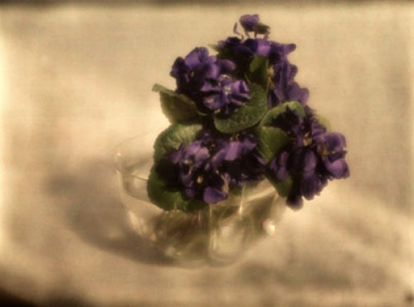 Фотографии Генриха Кюна в Neue Galerie (фото 2)