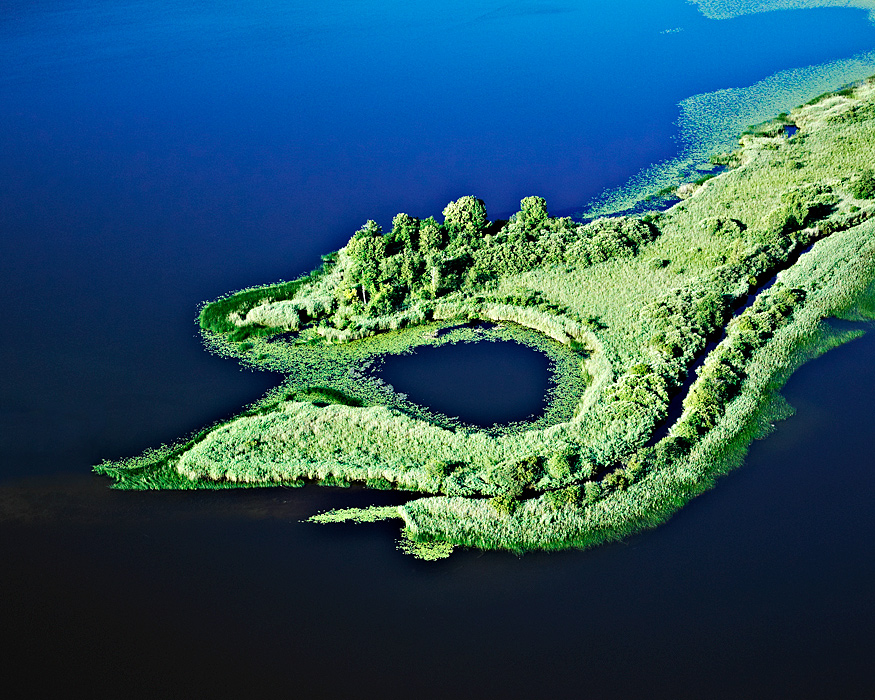 Bernhard Lang: с птичьего полета (фото 4)