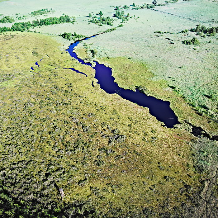 Bernhard Lang: с птичьего полета (фото 5)