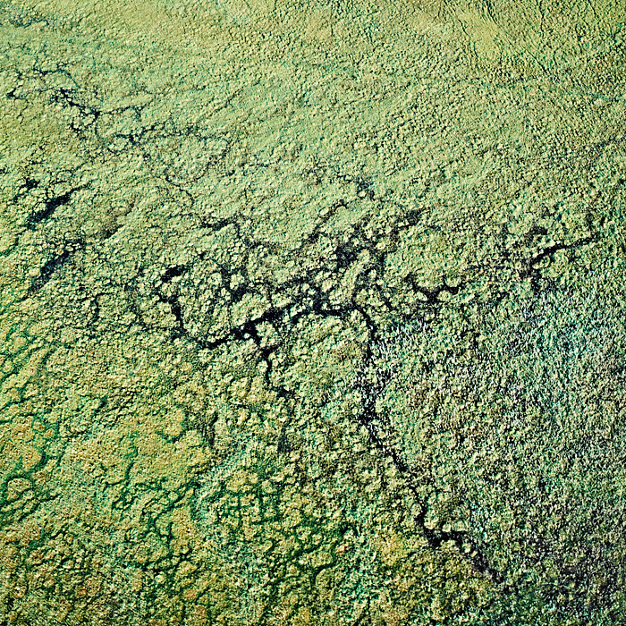 Bernhard Lang: с птичьего полета (фото 6)