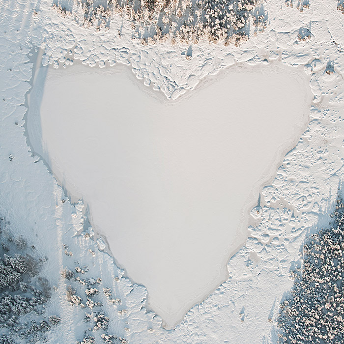 Bernhard Lang: с птичьего полета (фото 10)