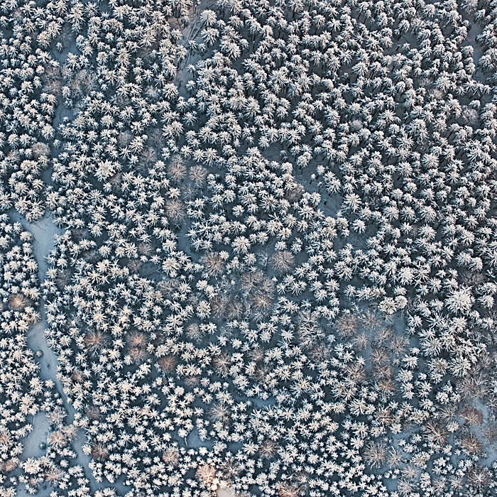 Bernhard Lang: с птичьего полета (фото 12)