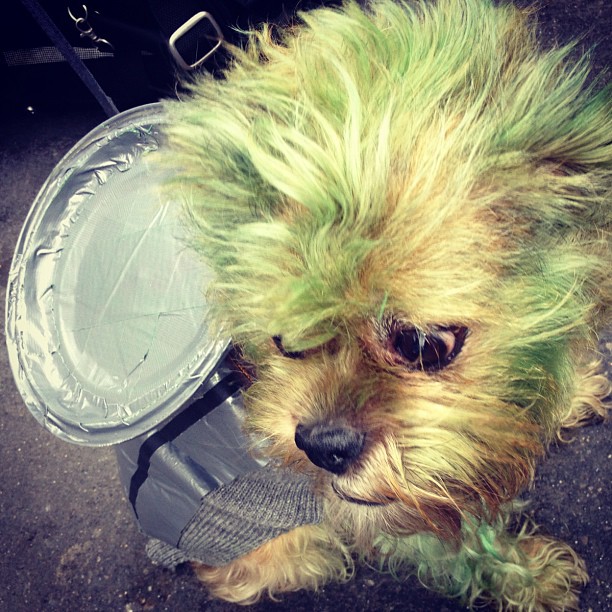 Модная Instagram-мания. Часть 23 (фото 10)