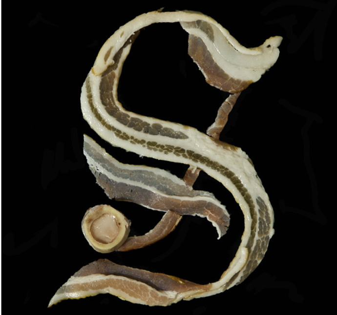 Вкусные фотосессии (фото 1)