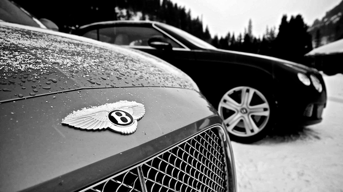 Bentley: "В поисках снега" (фото 2)