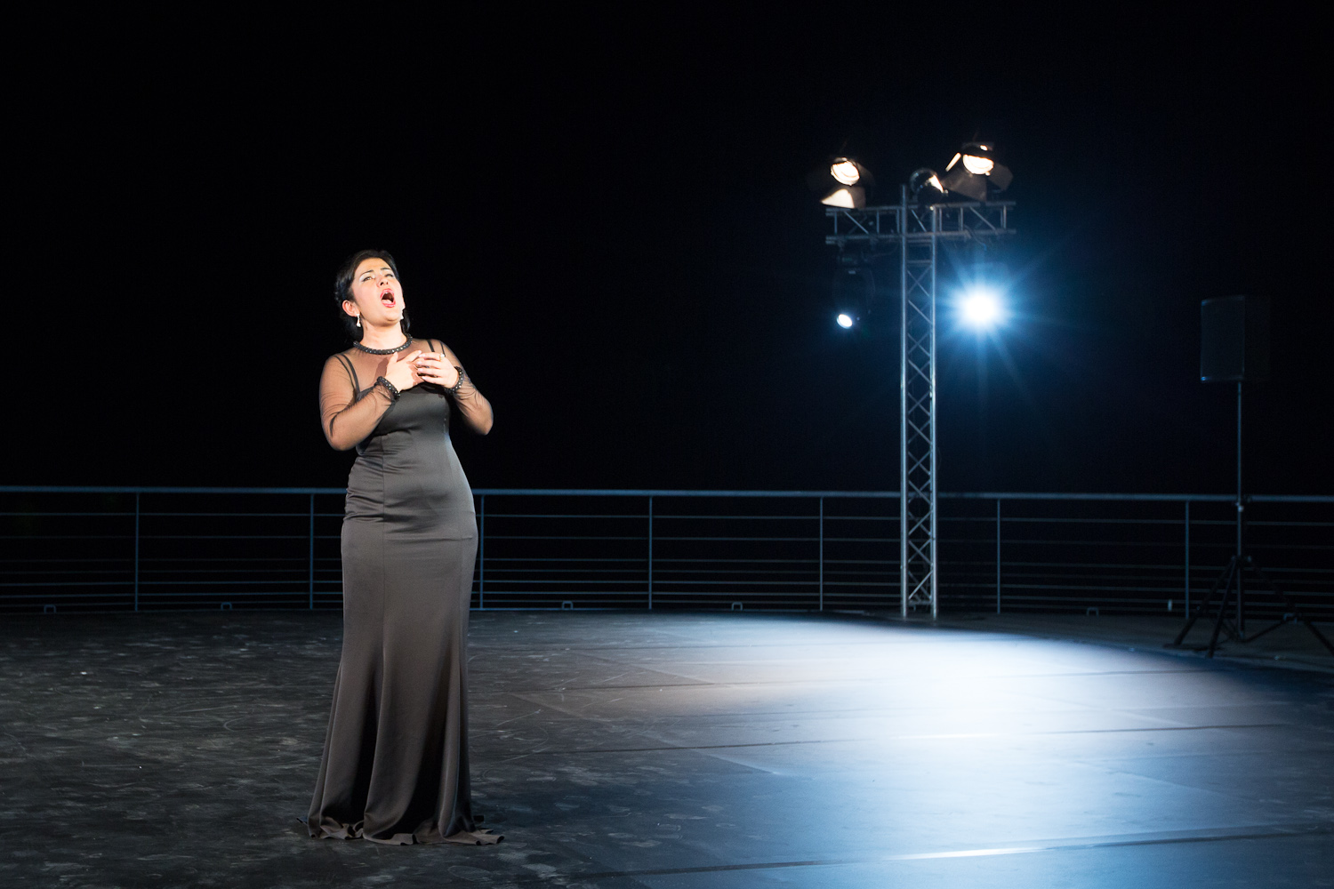 Благотворительный вечер L'Etincelle (фото 18)