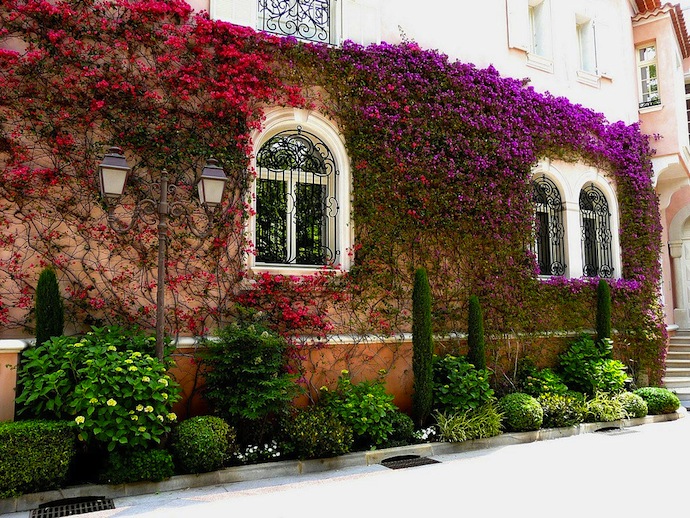 Стороны света: Прованс, Франция (фото 14)