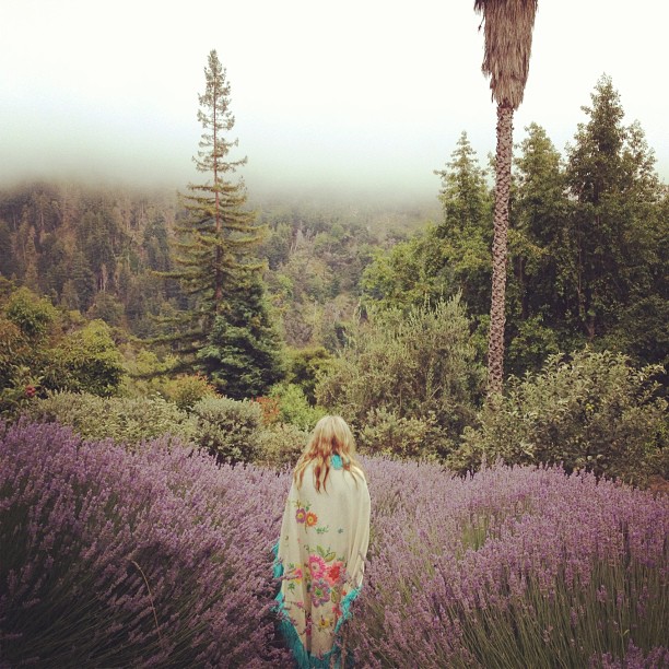 Модная Instagram-мания. Часть 10 (фото 16)