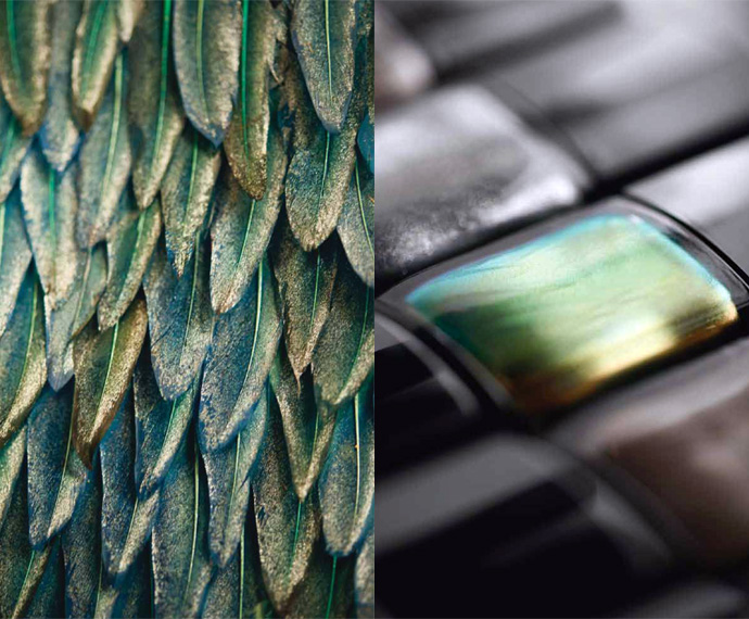 Осенняя коллекция лаков Chanel (фото 2)