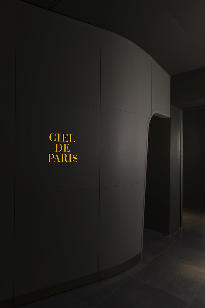 В небе над Парижем (фото 6)