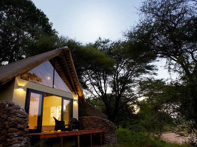 Сафари в Южной Африке (фото 4)