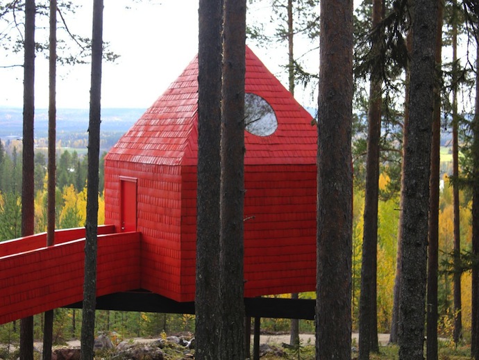 Арт-отель в ветвях деревьев (фото 3)