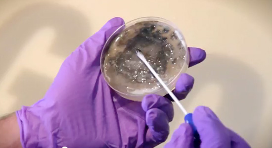 "Заразная" реклама (фото 1)