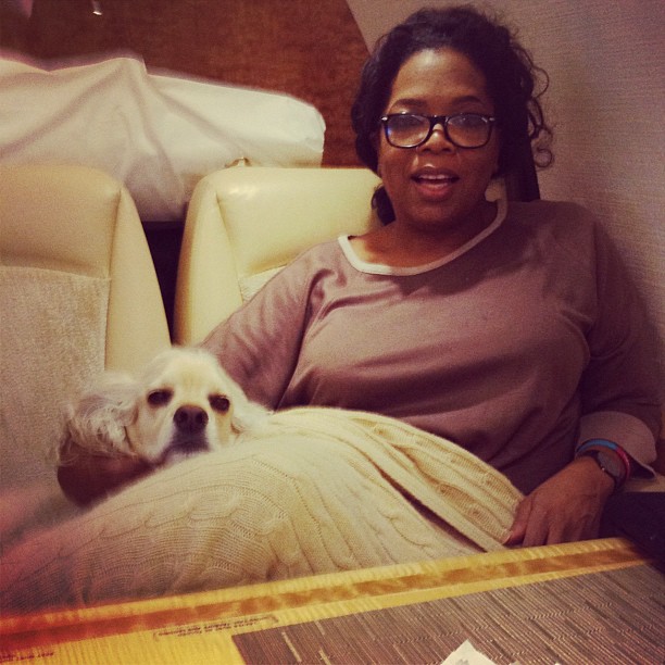 Модная Instagram-мания. Часть 24 (фото 20)