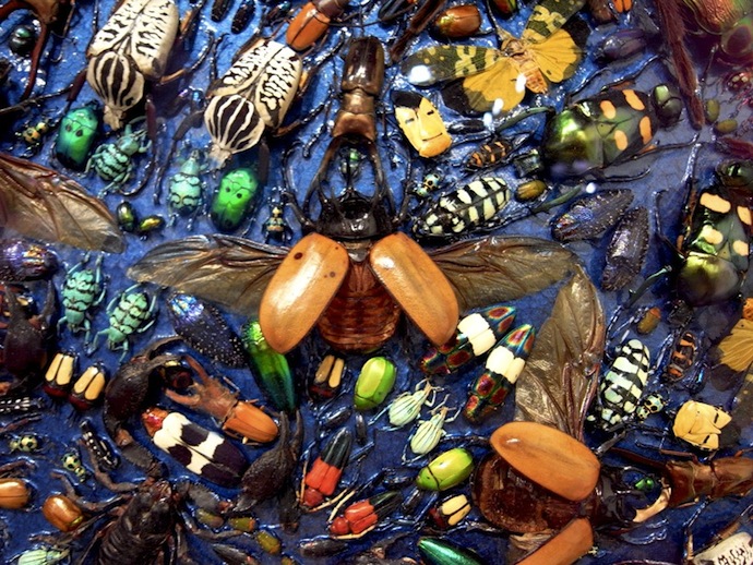 Новая картина Херста на Art Basel Miami (фото 3)