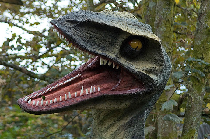 Уэльский парк Юрского периода (фото 5)