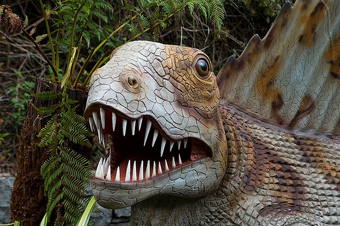 Уэльский парк Юрского периода (фото 13)