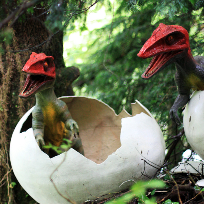 Уэльский парк Юрского периода (фото 1)