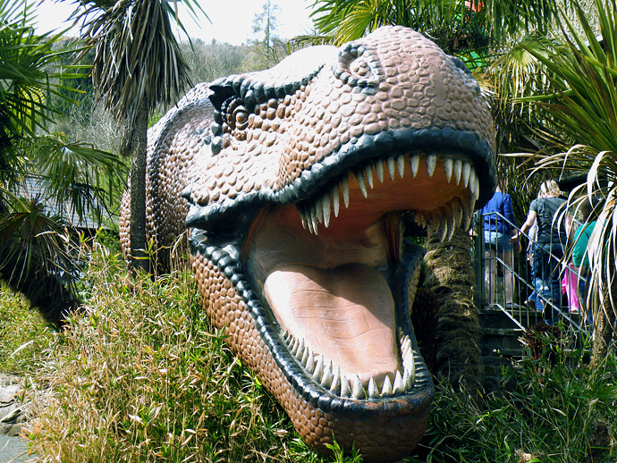 Уэльский парк Юрского периода (фото 11)