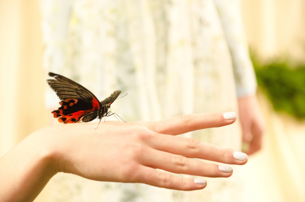 Коллекция Леси Парамоновой на Cycles & Seasons by MasterCard (фото 16)