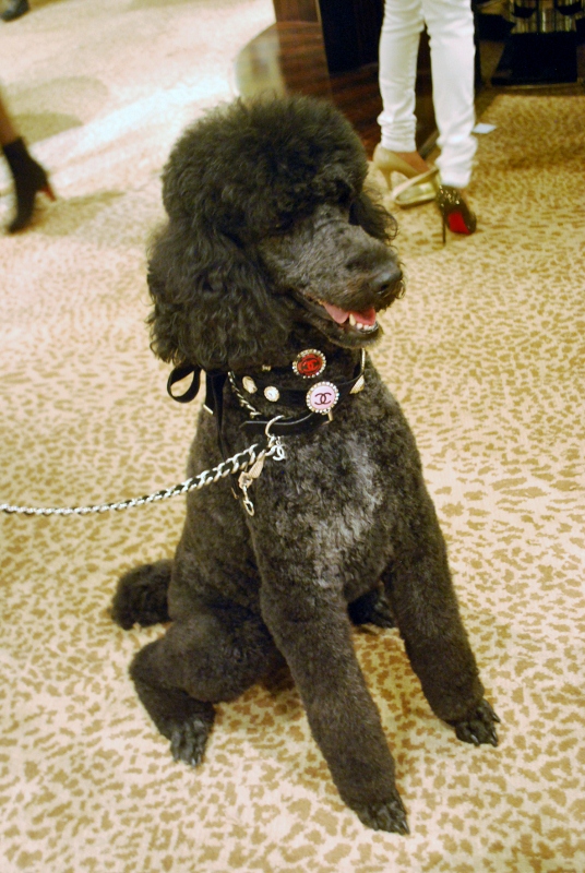 Fashion's Night Out в Нью-Йорке глазами Buro 24/7 (фото 46)