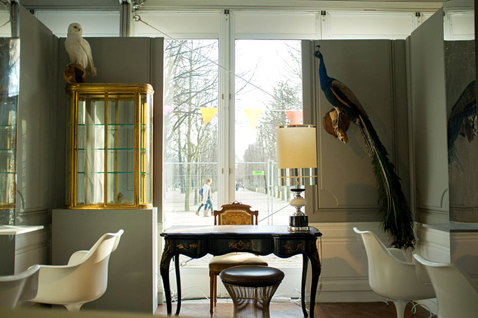 Как прошел Colette Carnaval (фото 4)