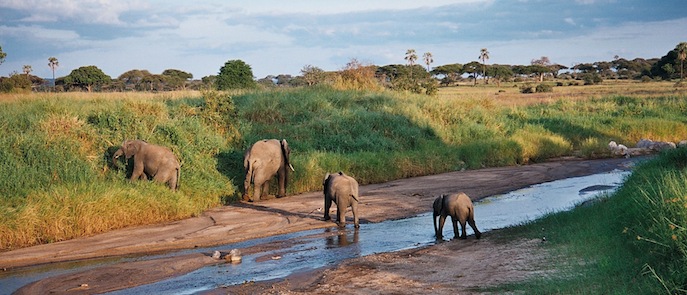 "Благотворительная" экскурсия по Африке (фото 2)