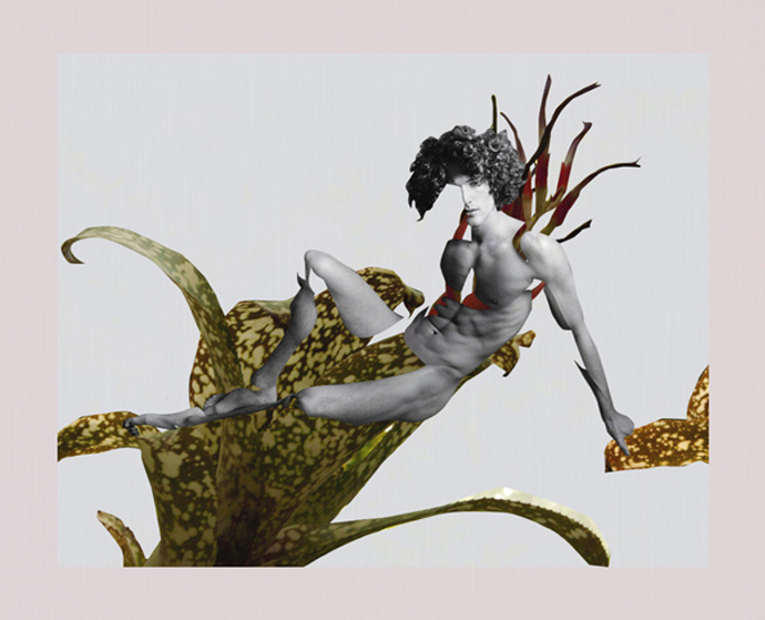 Новое имя в искусстве и моде: Эрнесто Артилло (фото 30)