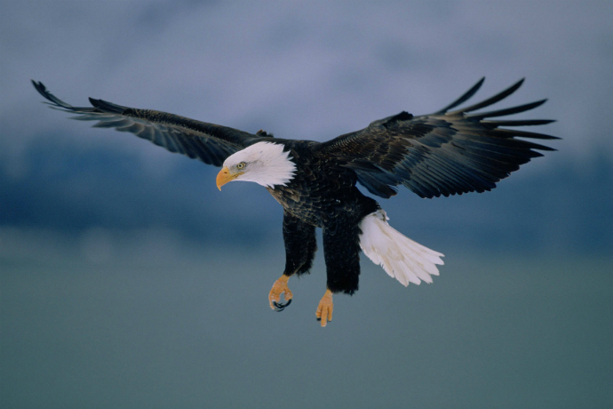 Фотовыставка Баффета-младшего в Москве (фото 1)