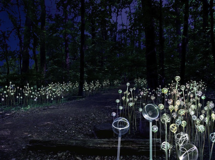 Выставка "Свет" Брюса Мунро пройдет в США (фото 2)