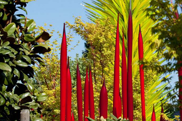 Выставка Chihuly Garden and Glass (фото 7)