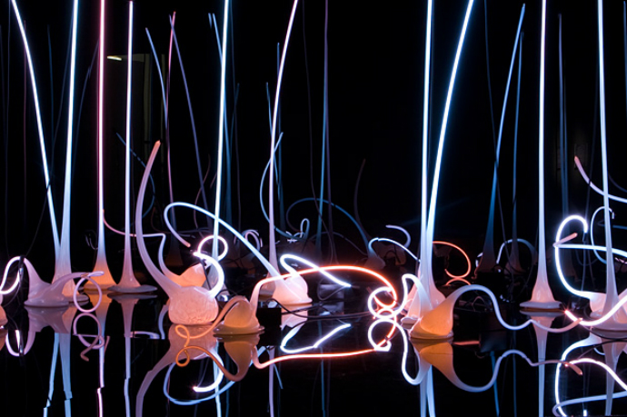 Выставка Chihuly Garden and Glass (фото 5)