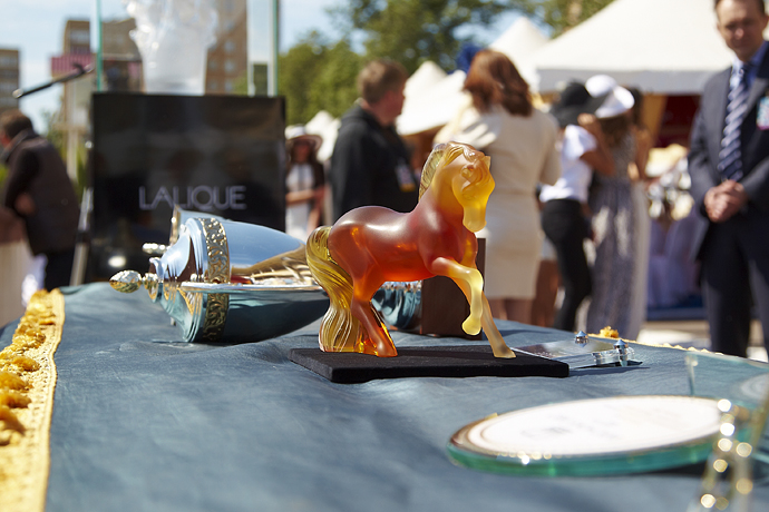 Скачки радио "Монте-Карло" (фото 11)