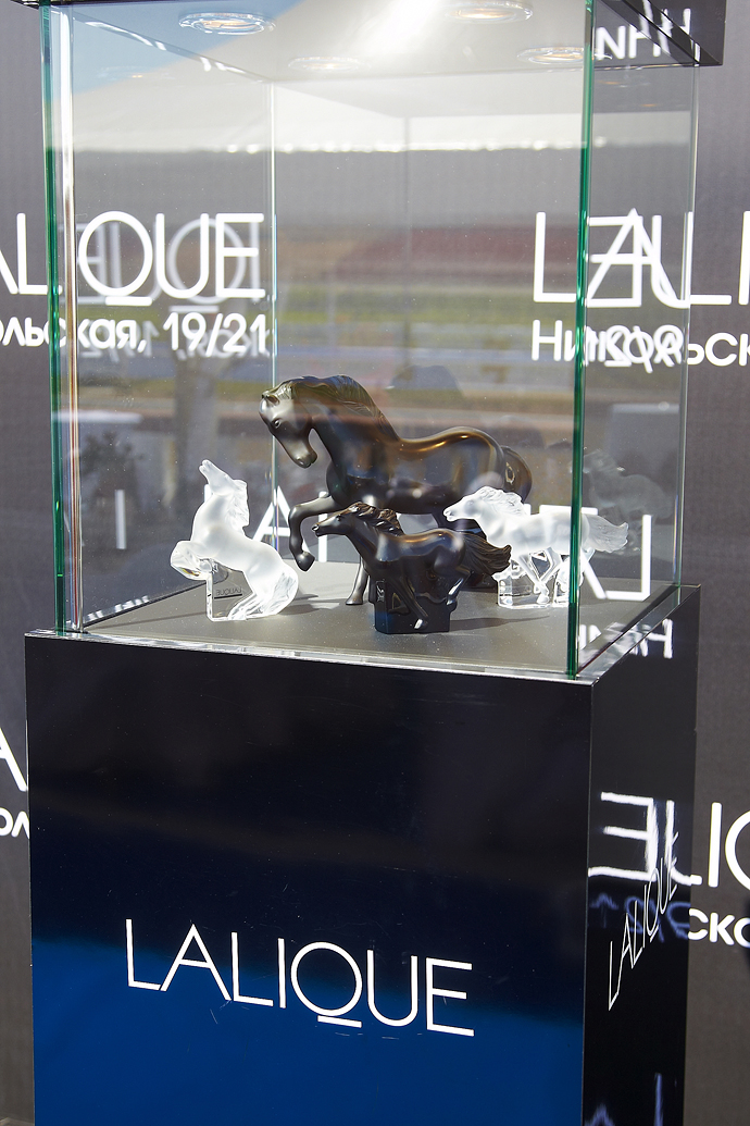 Скачки радио "Монте-Карло" (фото 12)