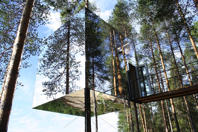 Арт-отель в ветвях деревьев (фото 5)