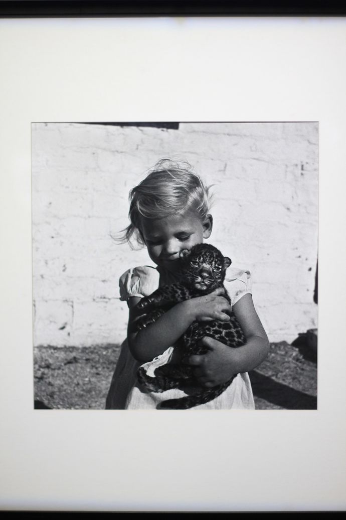 Кубрик и Пигоцци в МАММ (фото 14)