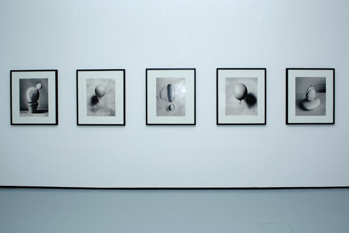 Выставка Чема Мадоса в МДФ (фото 4)