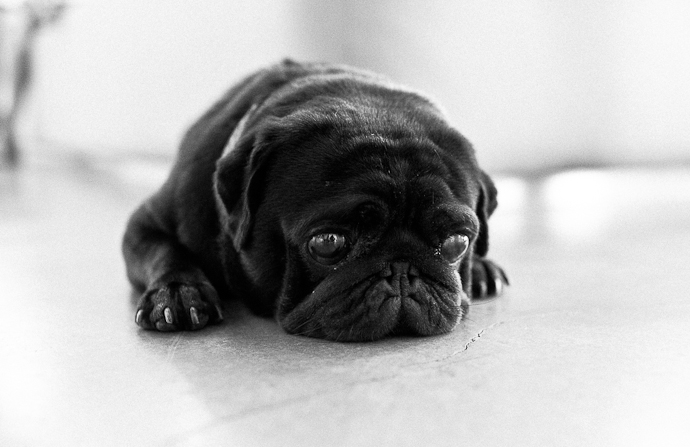 Look of the Week Aizel 24/7: Ида Лоло (фото 6)