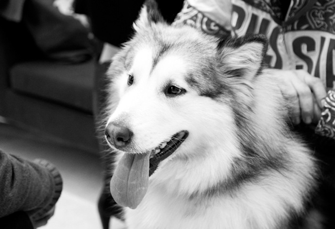 В "Сколково" отметили Новый год (фото 7)