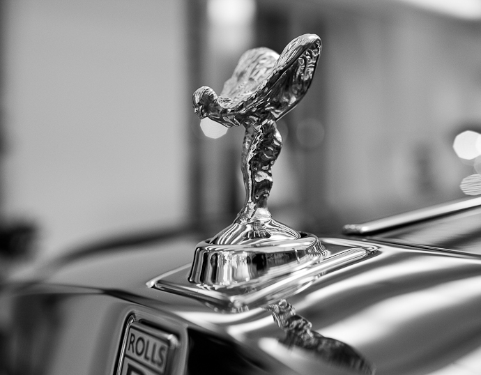 Открытие выставки Ранкина Spirit of Ecstasy (фото 1)