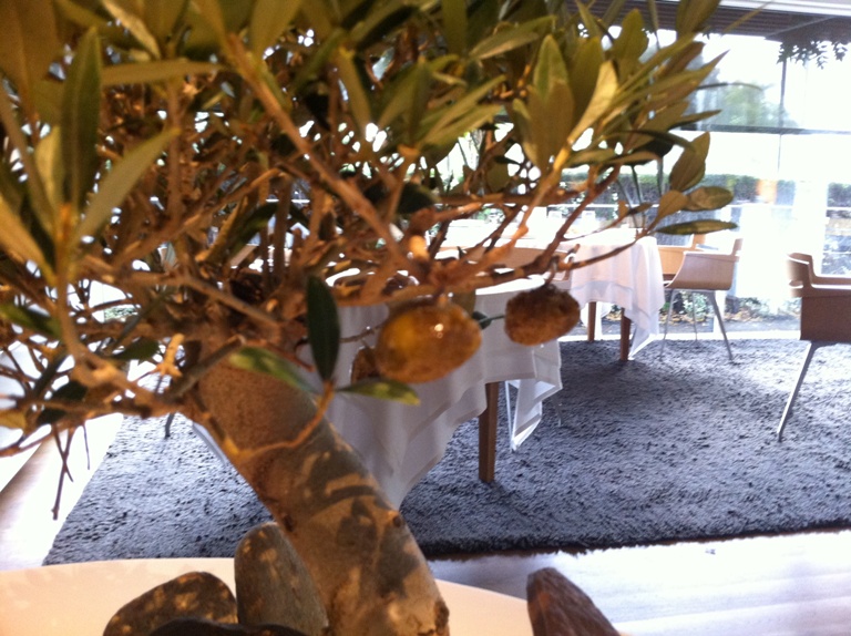 Лучшие рестораны мира. Испания. Часть 1 (фото 3)