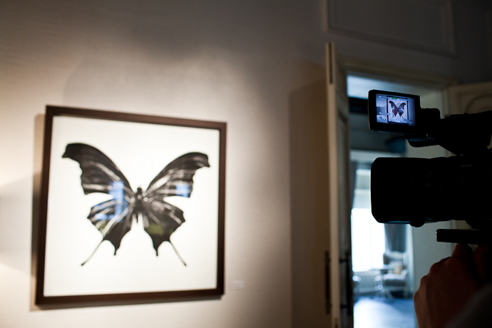 "Эффект бабочки" в снимках Славы Филиппова (фото 11)