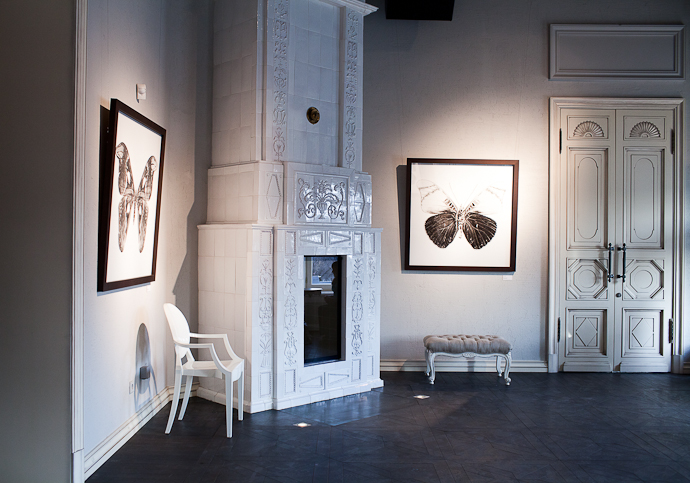 "Эффект бабочки" в снимках Славы Филиппова (фото 5)