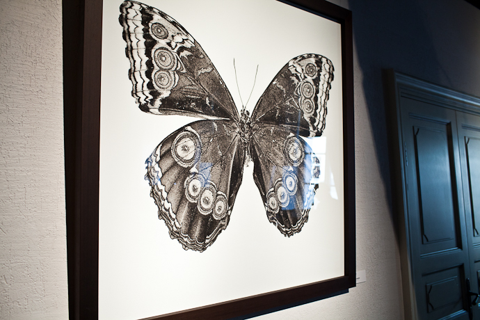 "Эффект бабочки" в снимках Славы Филиппова (фото 29)