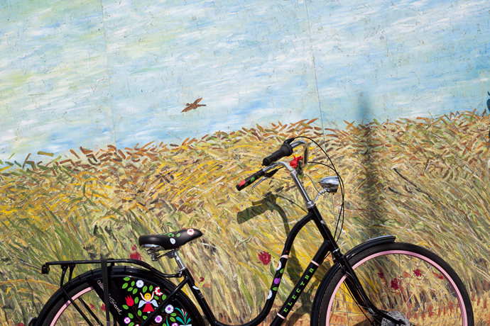 Faces & Laces 2012 в парке Горького (фото 18)