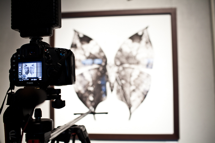 "Эффект бабочки" в снимках Славы Филиппова (фото 16)