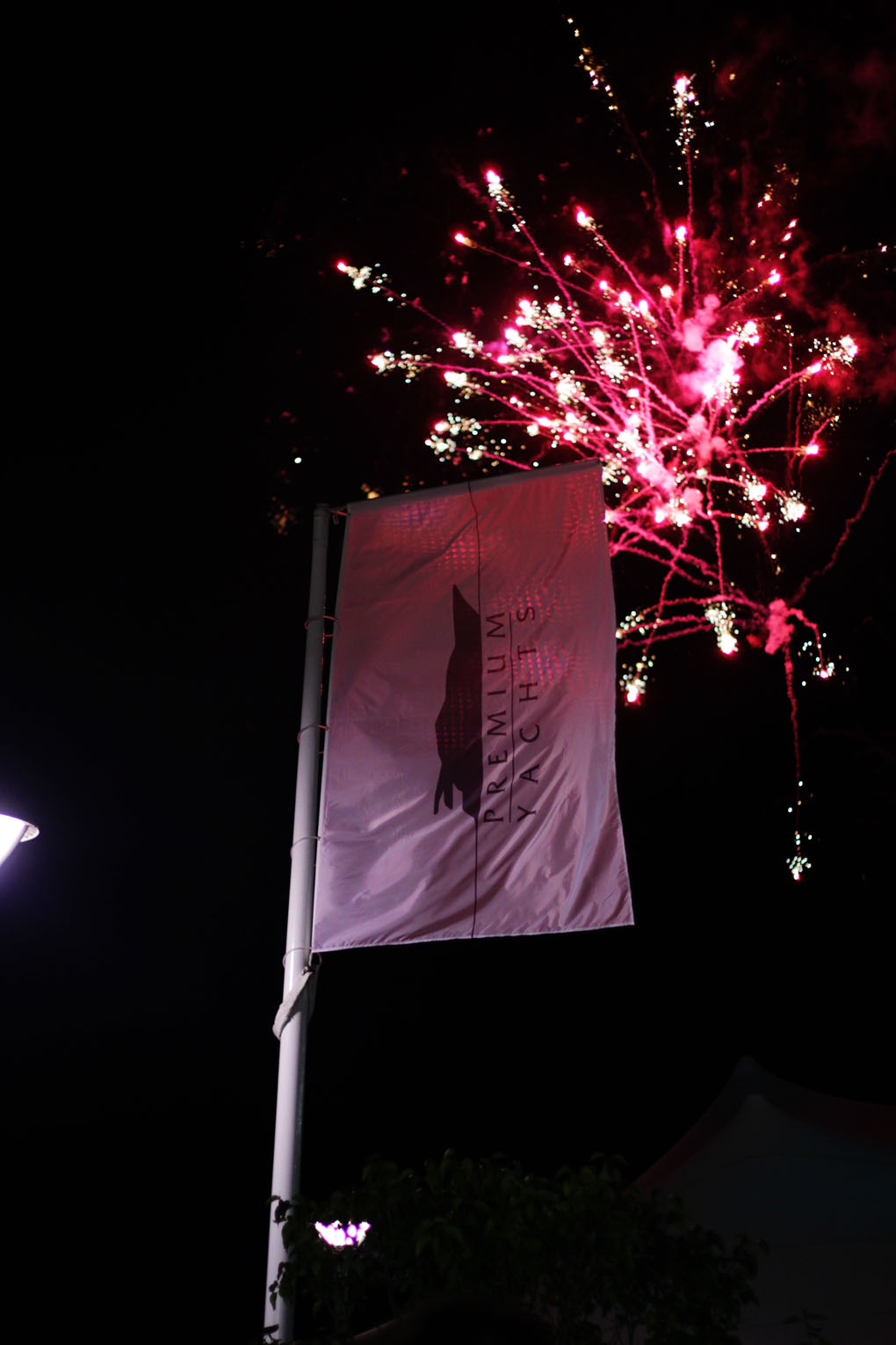 Выставка яхт и предметов роскоши в Москве (фото 12)