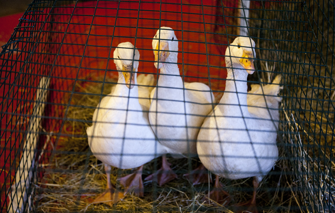 Рождественский базар LavkaLavka (фото 9)