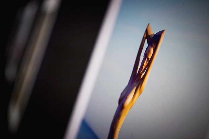 Открытие выставки "Календарь Pirelli 2012" (фото 6)